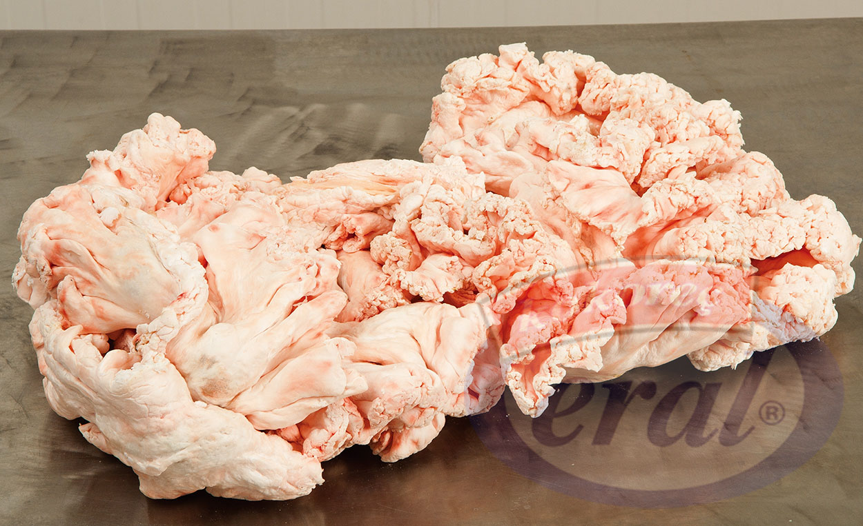 Fresh Summer Cocktails